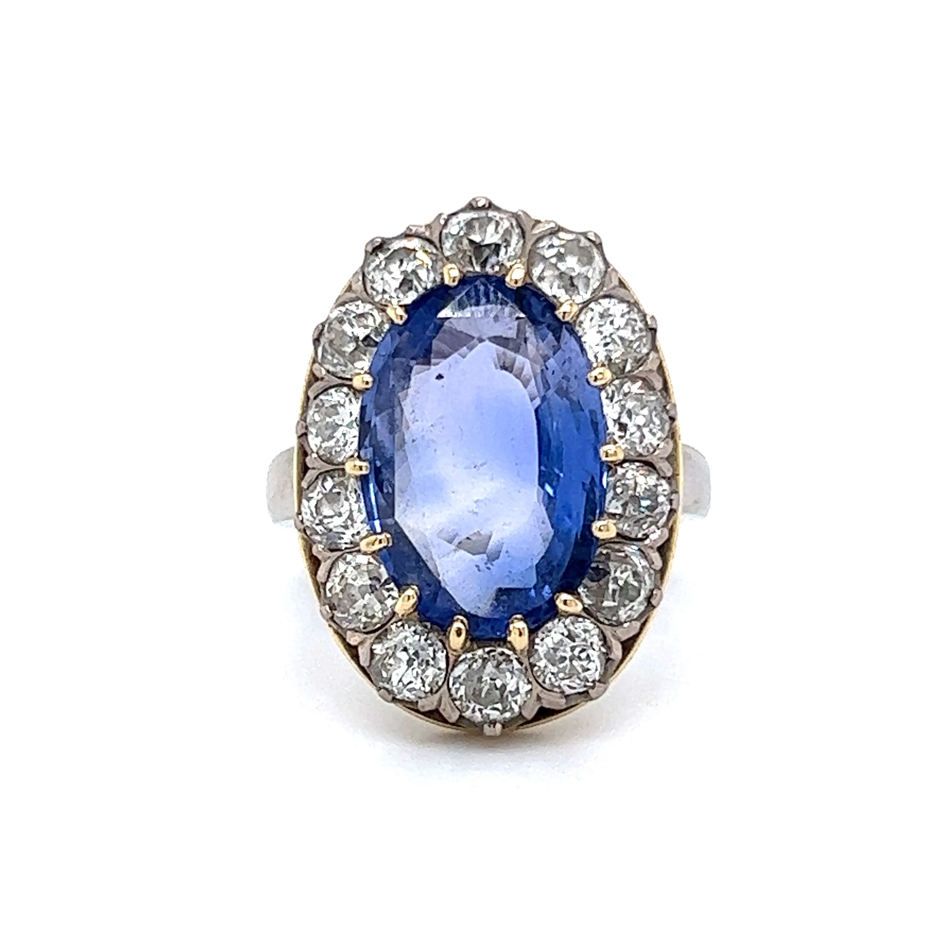 Cocktail Ring Modern 7.04 Oval Cut Sapphire in Platinum