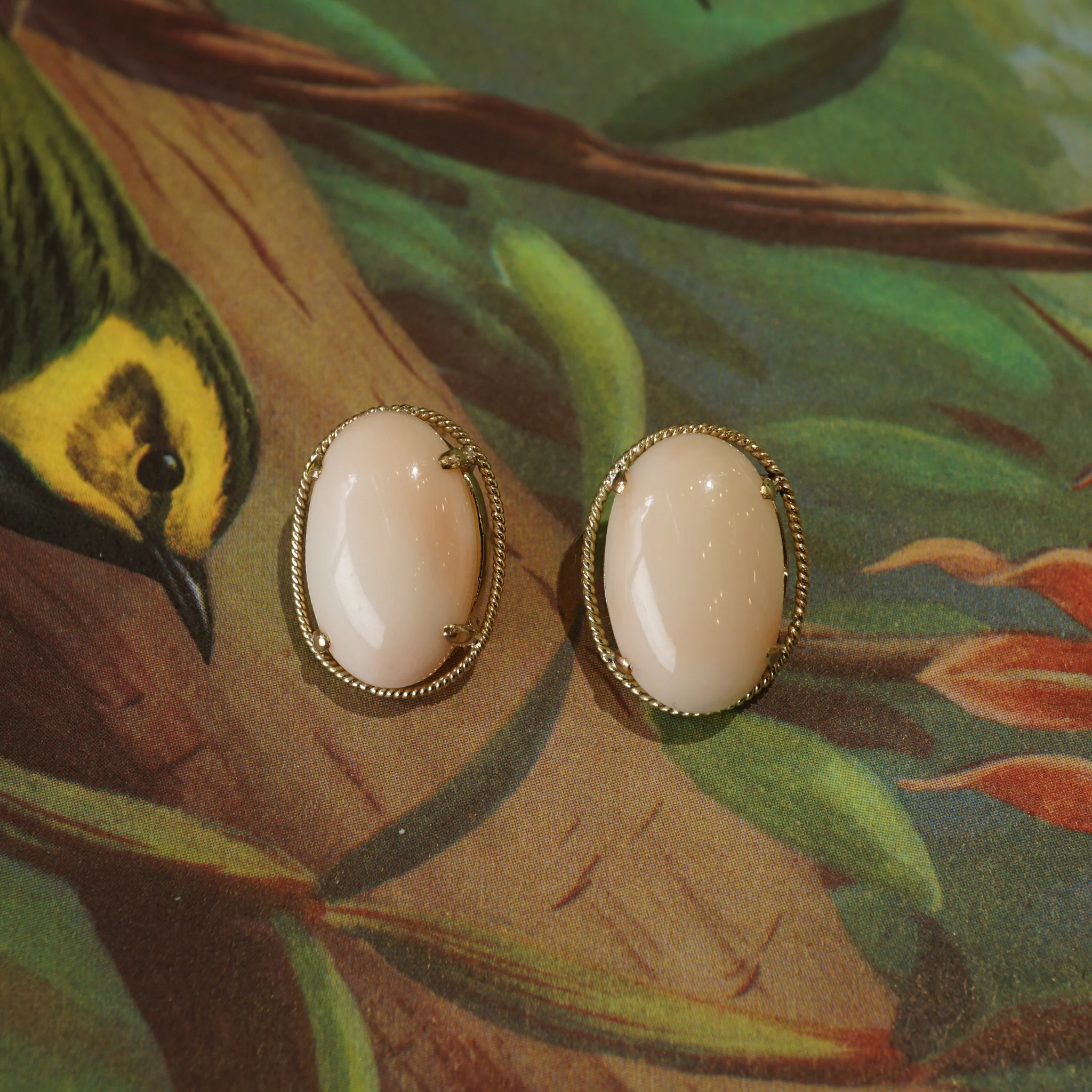 Mid-Century Angel Skin Coral Earrings in 14k Yellow Gold - Image 5