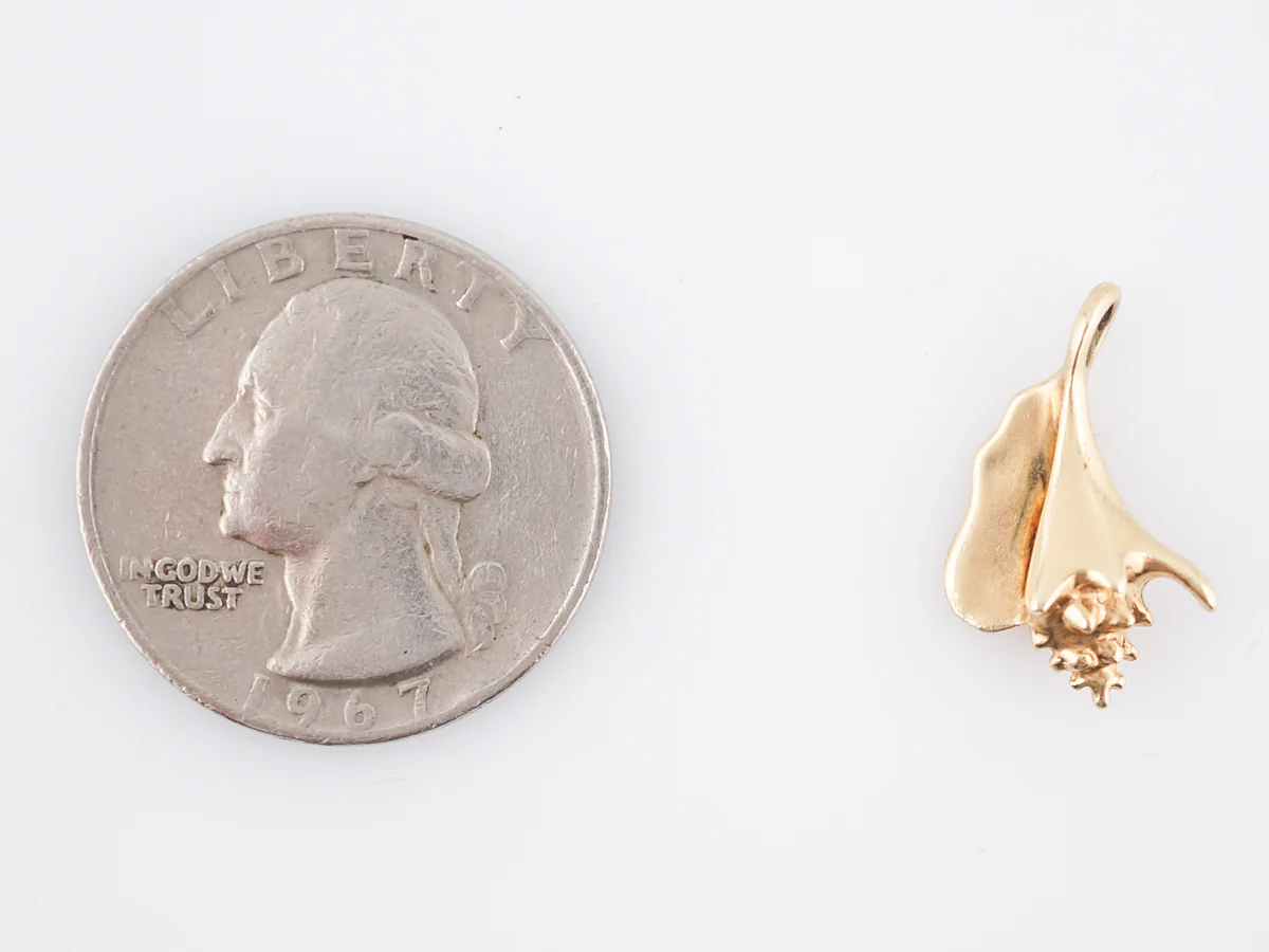 Pendant Charm Sea Shell Modern in 14k Yellow Gold - Image 3
