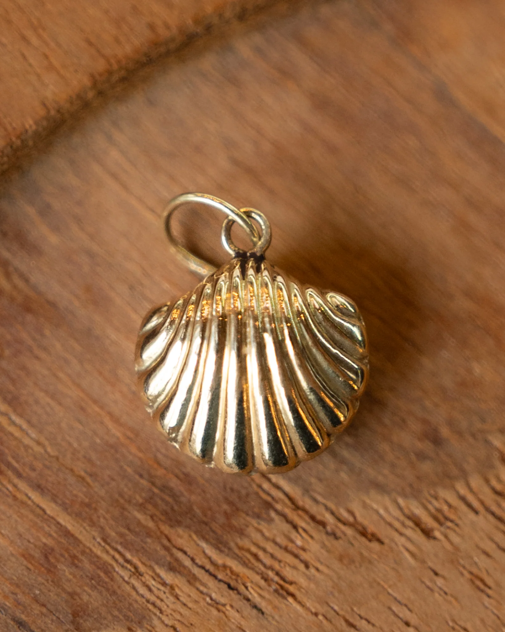 Seashell Charm in 14k Yellow Gold - Image 3